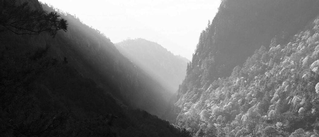 Discover the Best China Manufacture Electric Pipe Options