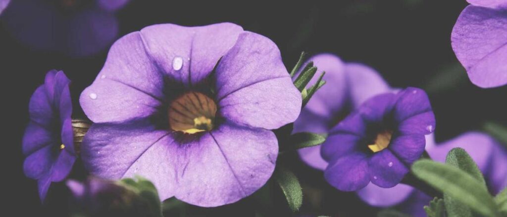 Transform Your Experience at the Electric Pipe Factory Today