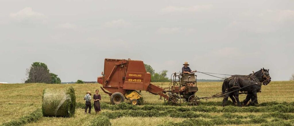 Discover the Power of Orange Electric Pipe for Your Projects