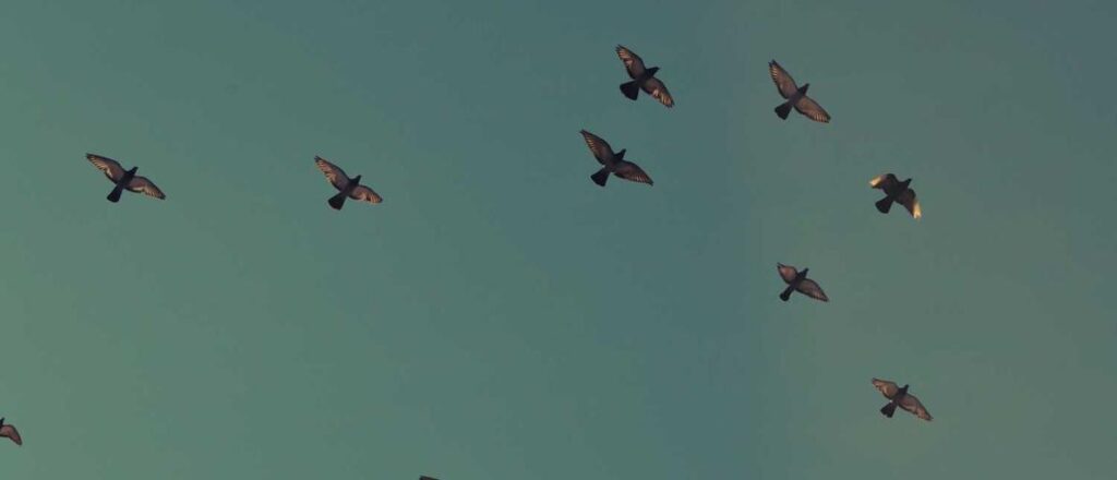 Experience Ultimate Convenience with a Portable Electric Pipe