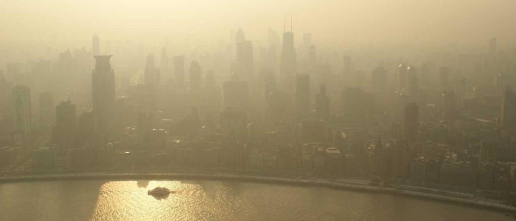 What are the latest innovations in biodegradable packaging?