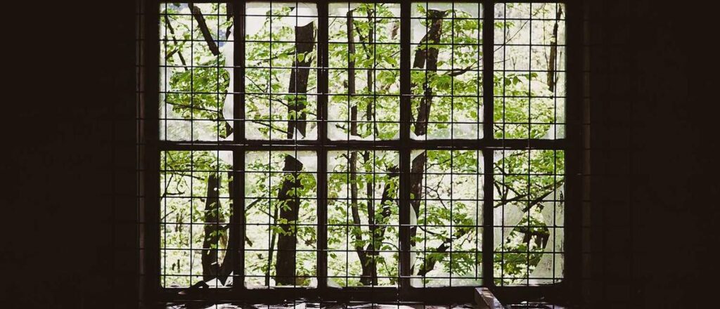 How can small businesses adopt eco-friendly packaging solutions?