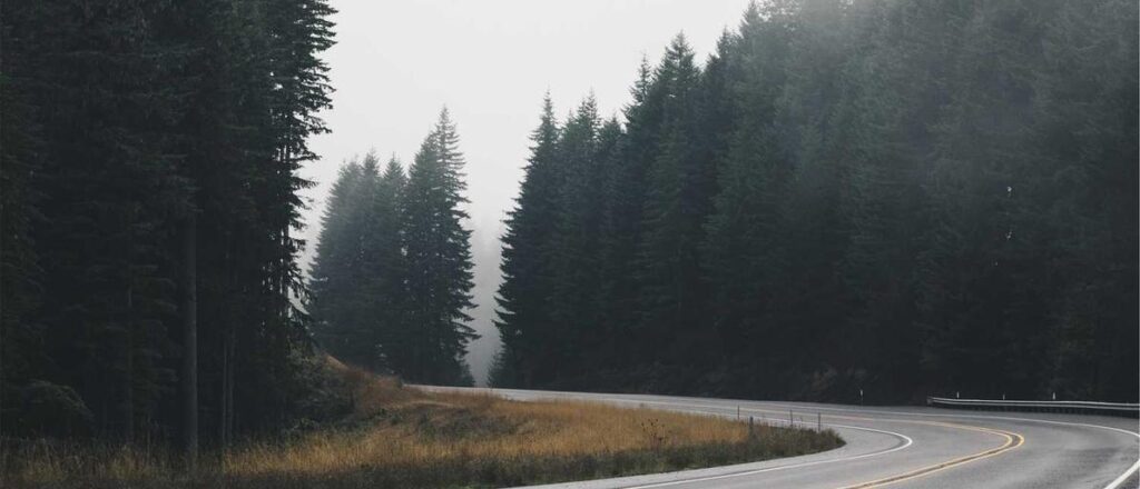 How to choose between FSC and PEFC certifications?